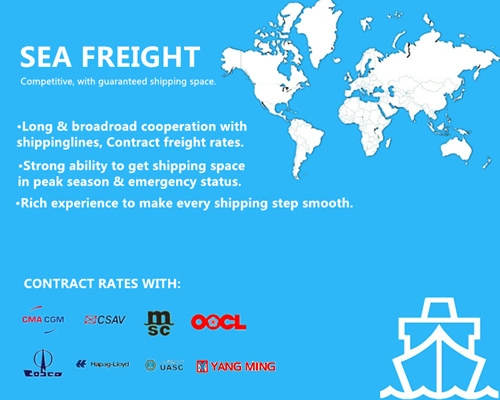 China Fast Sea Cargo Shipping to USA or Import Export Customs Clearance