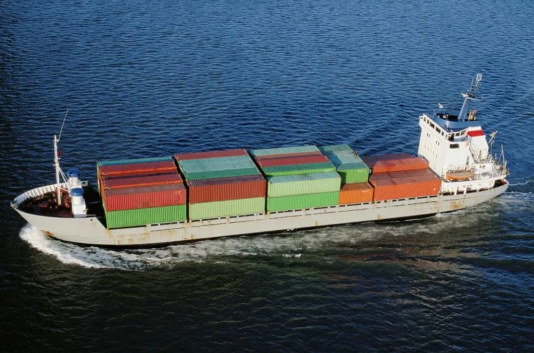 International Shipping Agent Service Forwarder Sea Freight From China to United States