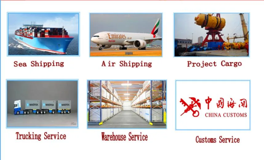 China Air Shipping Logistics Transporters to Brazzaville Spain Portugal Italy Egypt Congo Door to Door Service