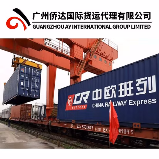 El agente profesional de despacho de aduanas de importación y exportación
