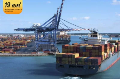 Transporte marítimo desde China Guangzhou a India y América Envío de carga rápido más barato profesional