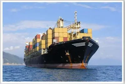 Servicio de agente de envío internacional Transportista Transporte marítimo de China a Estados Unidos